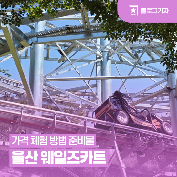 [블로그 기자] <b>울산 웨일즈</b>카트 가격 체험 방법 준비물