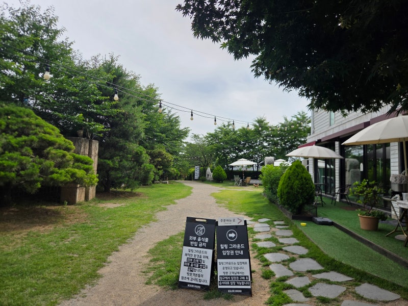 [파주 애견카페 추천] 사람과 반려견이 함께 힐링할 수 있는 공간 파주 힐링그라운드(내돈내....