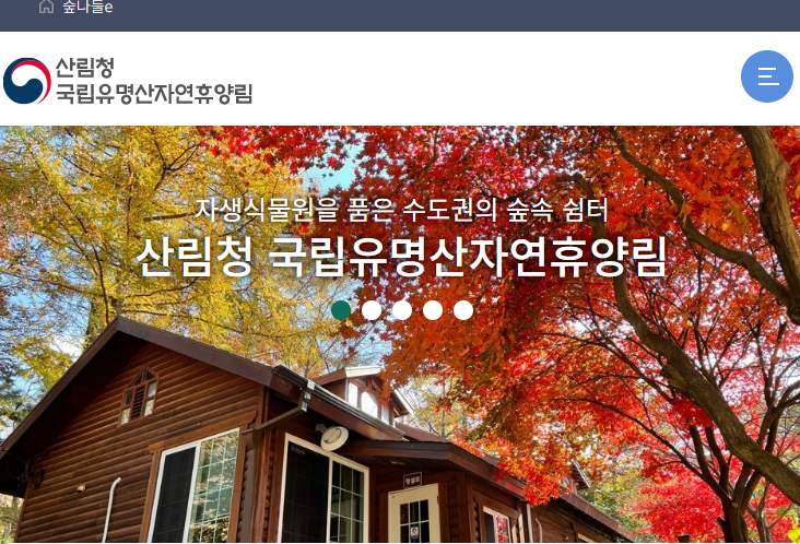 유명산자연휴양림 가평 캠핑장 예약 방법 계곡