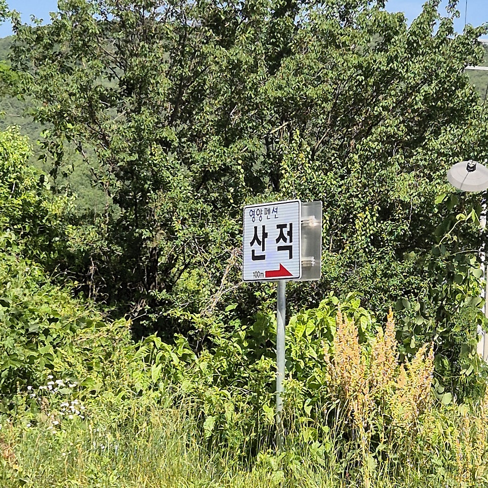 영양펜션 산적 사진 4