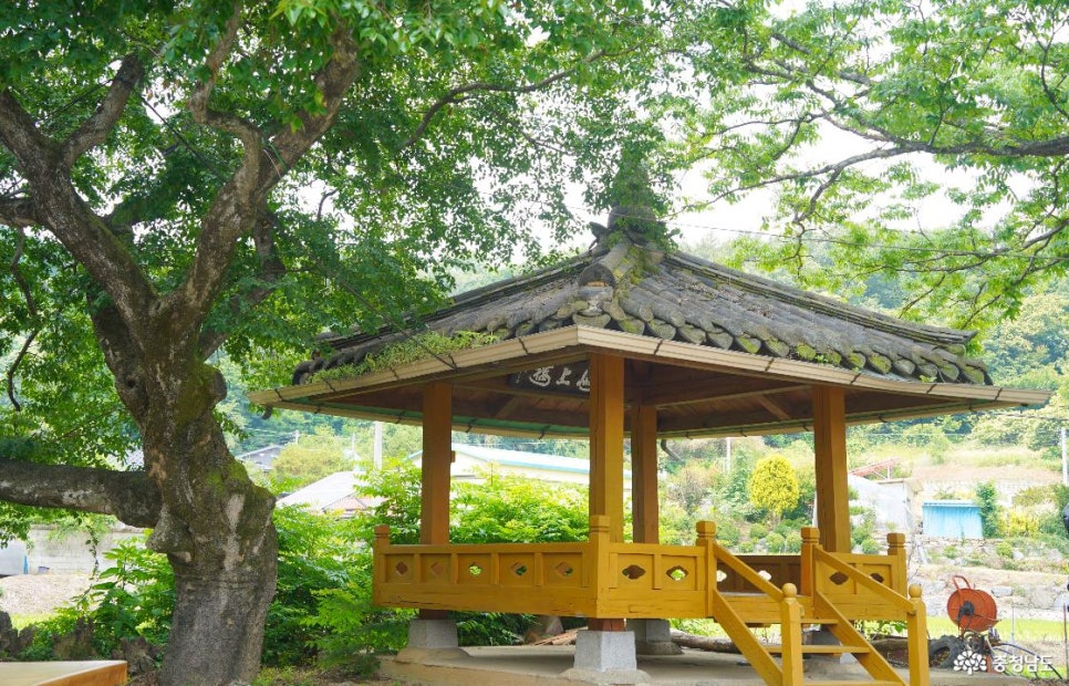 꽃향기 사진 5