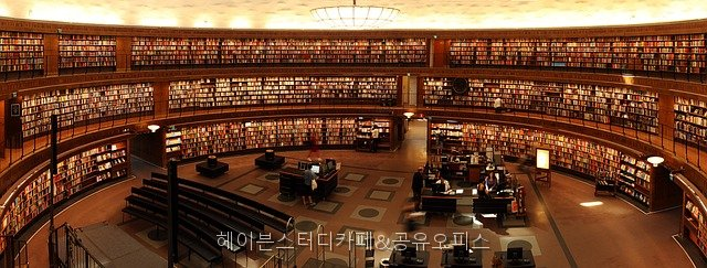 헤이븐 사진 2