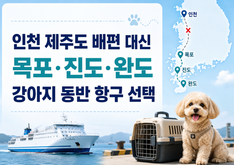 인천 제주도 배편 대신 목포 진도 완도, 강아지 동반 항구 선택 기준