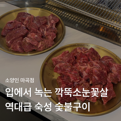 마곡서울식물원근처맛집 입에서 녹는 소눈꽃살 양등심