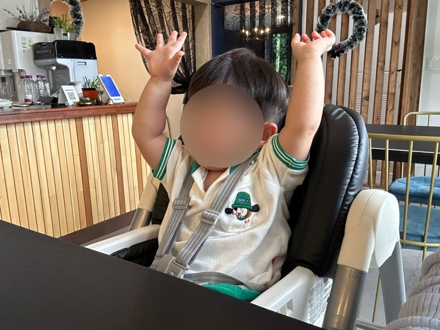 까망바오 사진 5