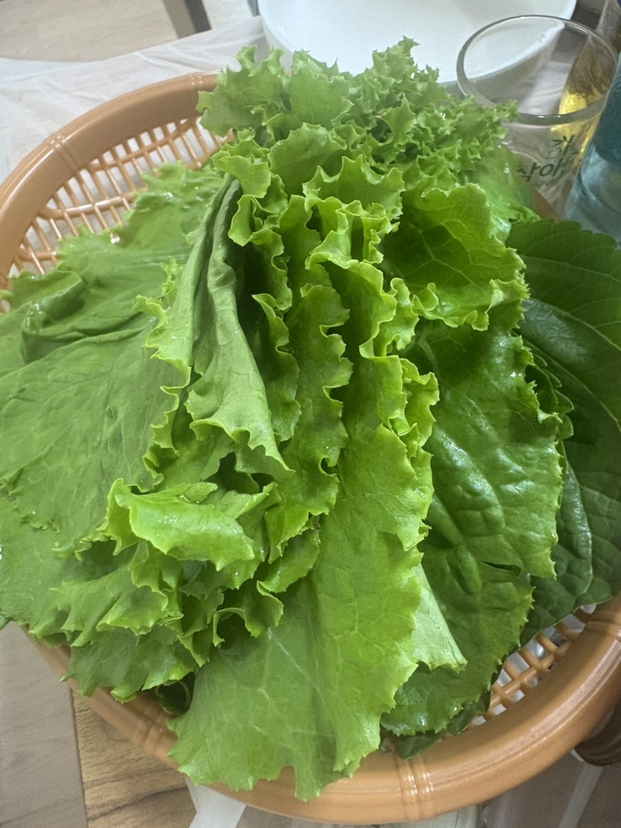 태양식당 사진 6