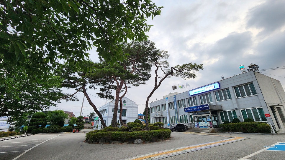 면사랑 사진 6