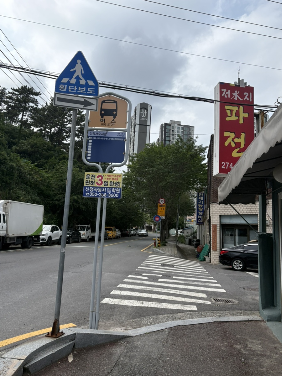 저수지파전 사진 2