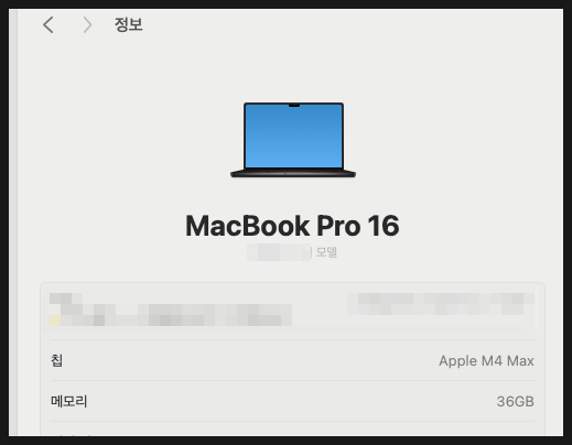 맥북 프로 (Apple M4 Max 36GB) 에 로컬 LLM AI 설치해보기 (feat. Ollama)