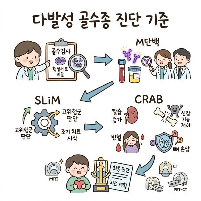 다발성 골수종 진단 기준 총정리｜M단백과 골수 침윤 판단 구조