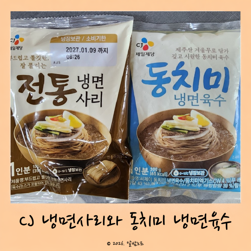 CJ 냉면사리와 동치미 냉면육수 솔직 후기 초간단 냉면 집에서 만들기