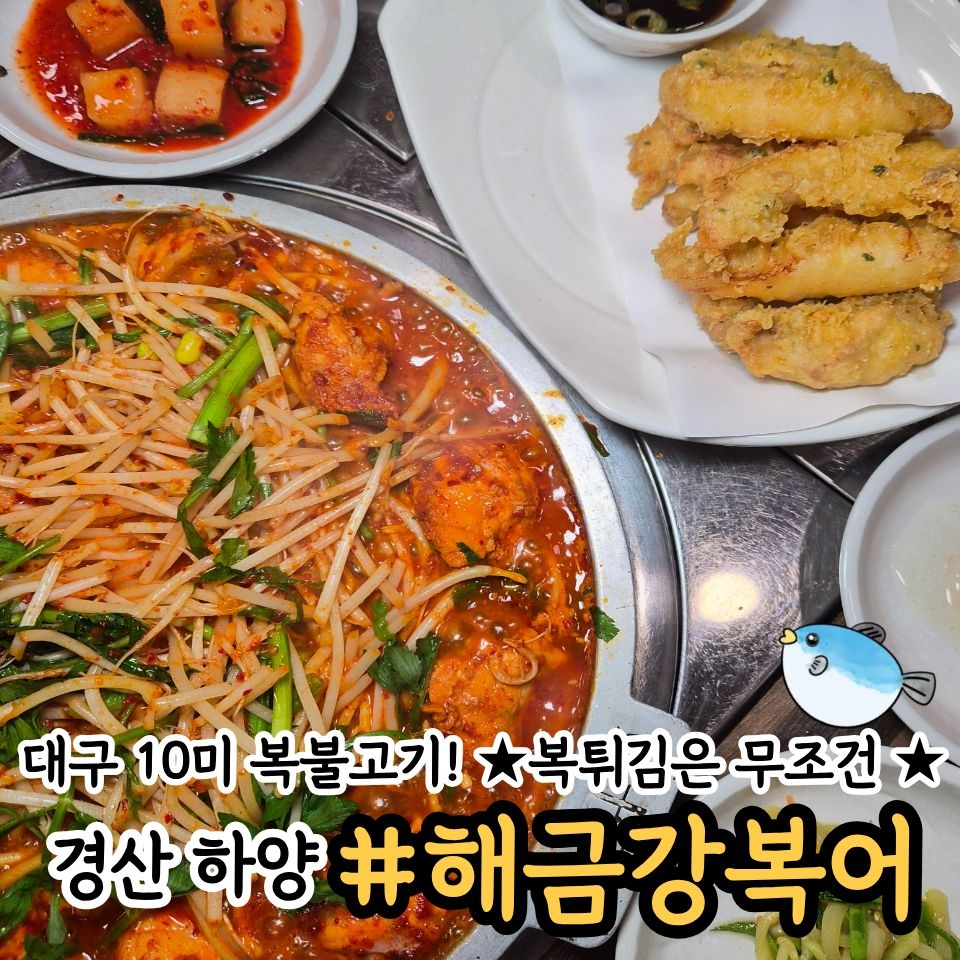 해금강복어 사진 4
