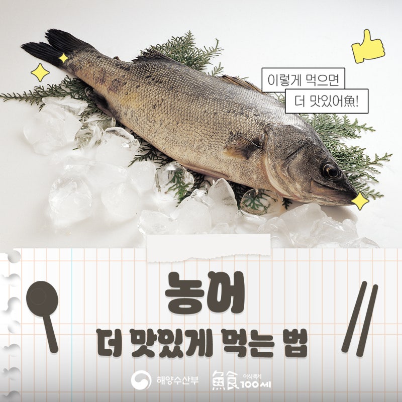 농어 더 맛있게 먹는 방법 | 농어 굽는 법, 농어 구이, 농어 구이 어울리는 소스