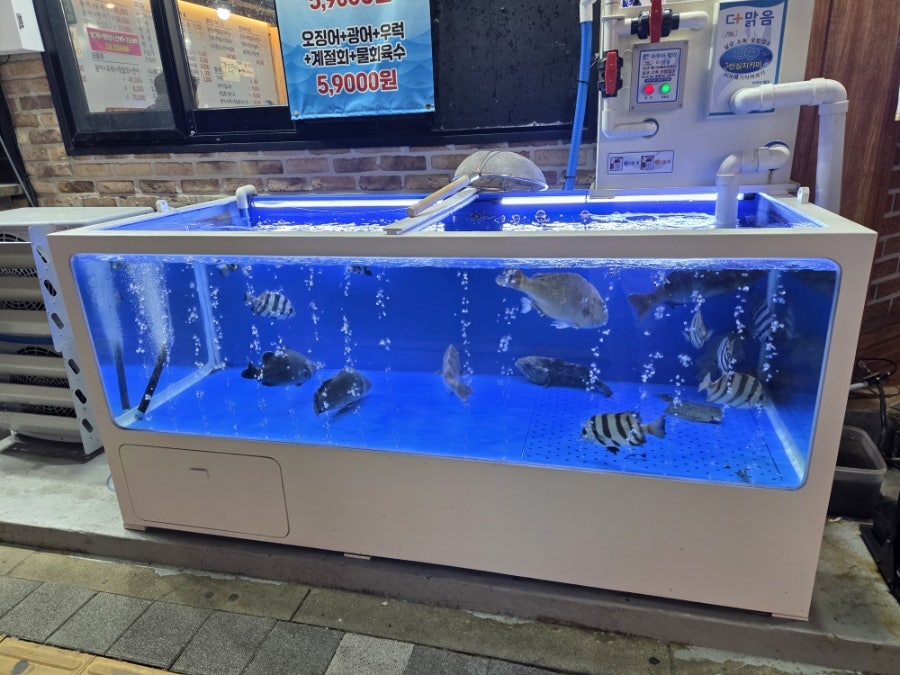 파도수산 사진 2