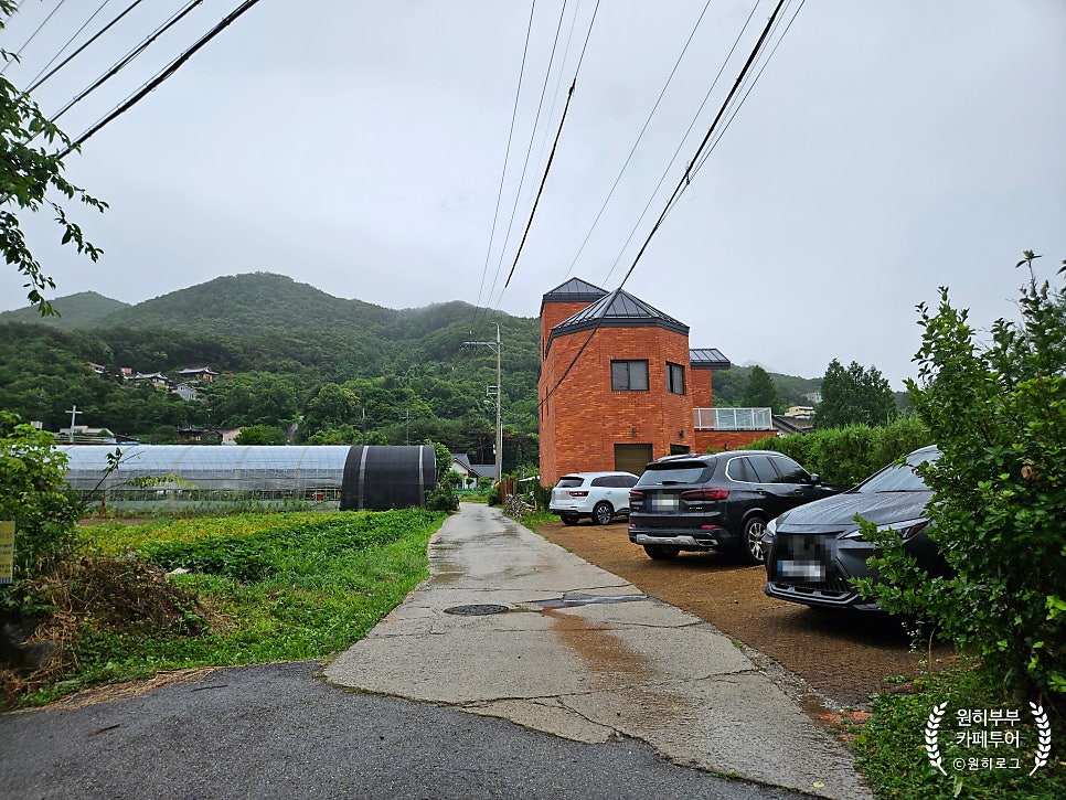 세이렌 사진 1