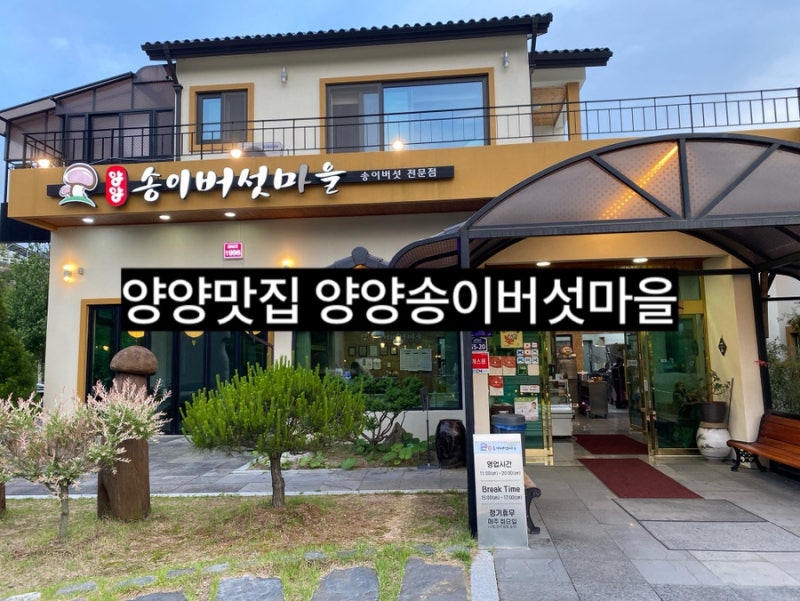 [강원도 양양]양양맛집 양양여행추천 송이버섯마을