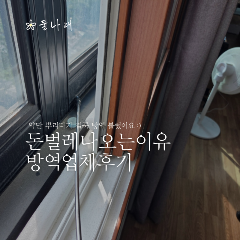 돈벌레나오는이유 모르고 약만 뿌리다가 결국 방역 부른 후기