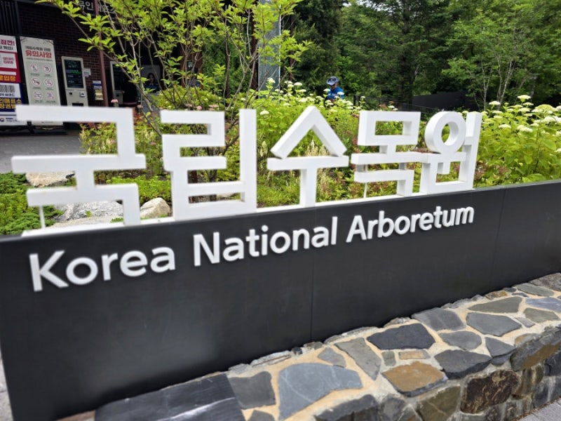 포천 가볼만한곳 광릉수목원 예약 주차 가격 무료입장 총정리