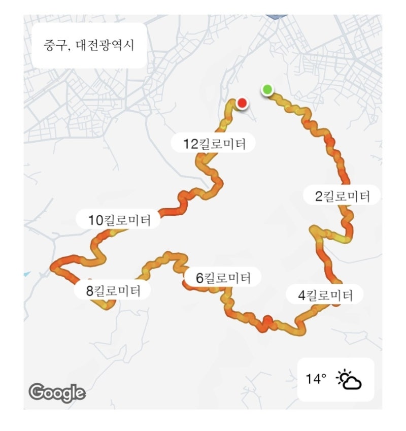 대전 보문산 트레일러닝 코스정리