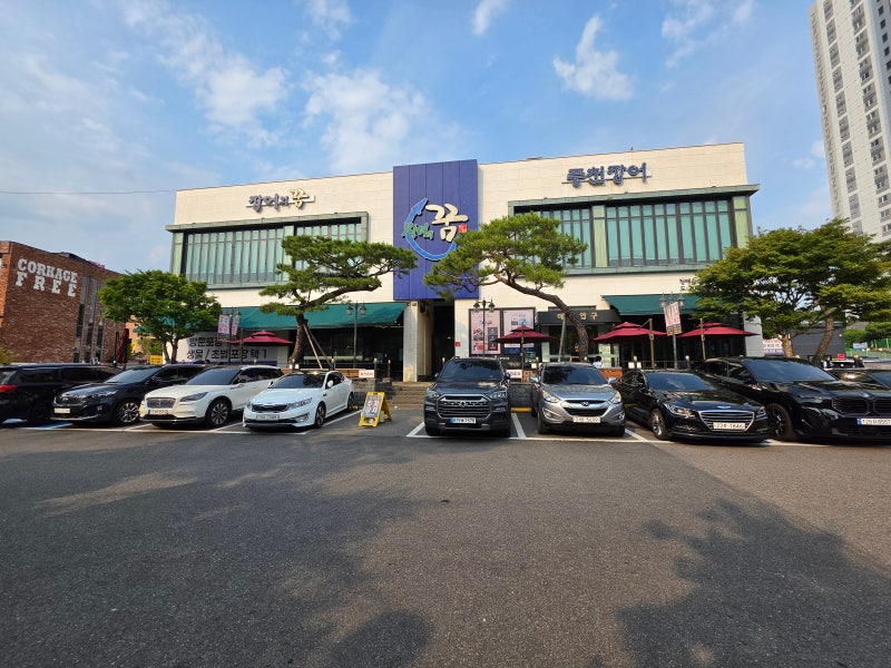 남양주 별내 장어의꿈 | 평일 대기·시세·열무국수 솔직후기