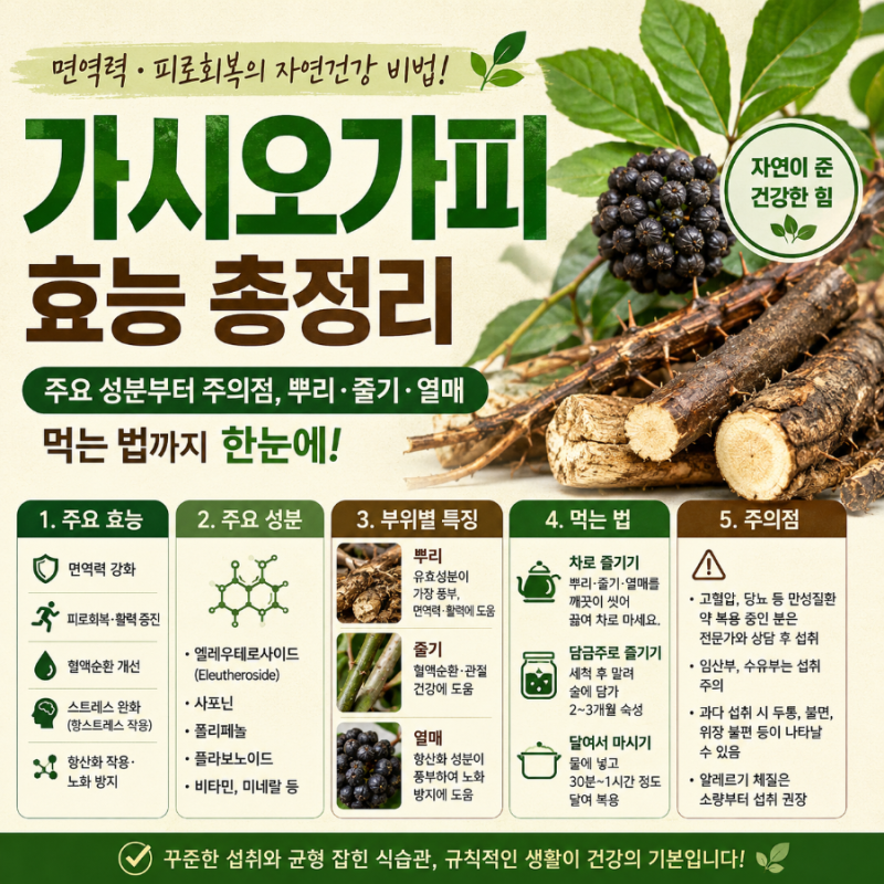 가시오가피 효능 주요 성분부터 주의점 뿌리 줄기 열매 먹는 법까지 총정리