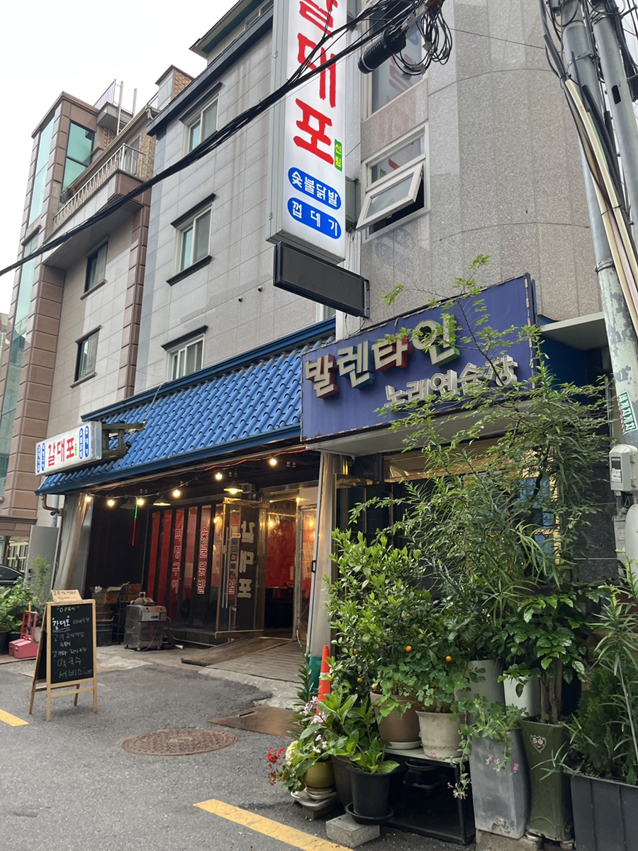 갈대포 사진 4