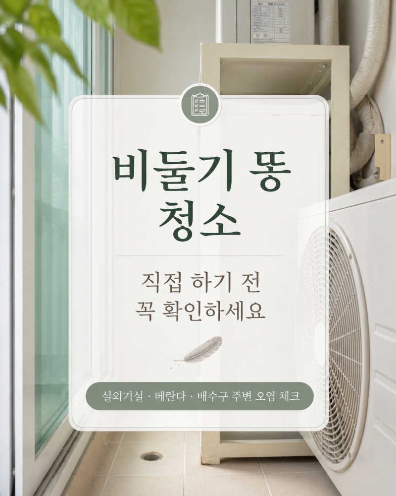 비둘기 똥 청소, 직접 하기 전 꼭 확인해야 할 5가지