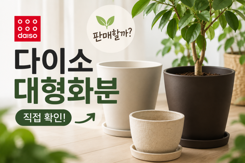[다이소 알바생 직접확인] 다이소 대형화분 판매할까? (거실 플라스틱 큰화분 도자기 고무)