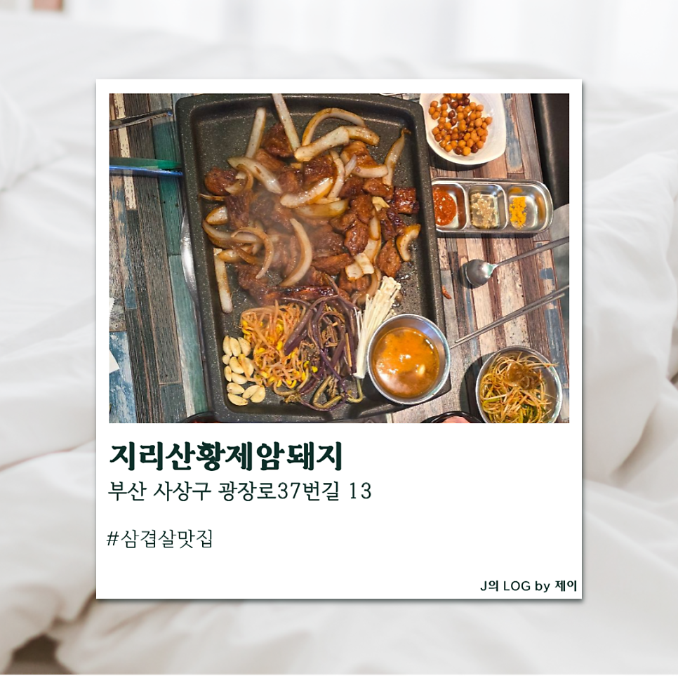 지리산황제암돼지 사진 6