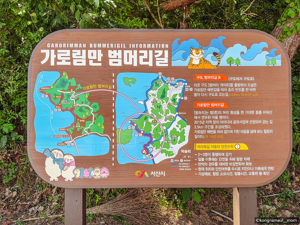 범머리 사진 3