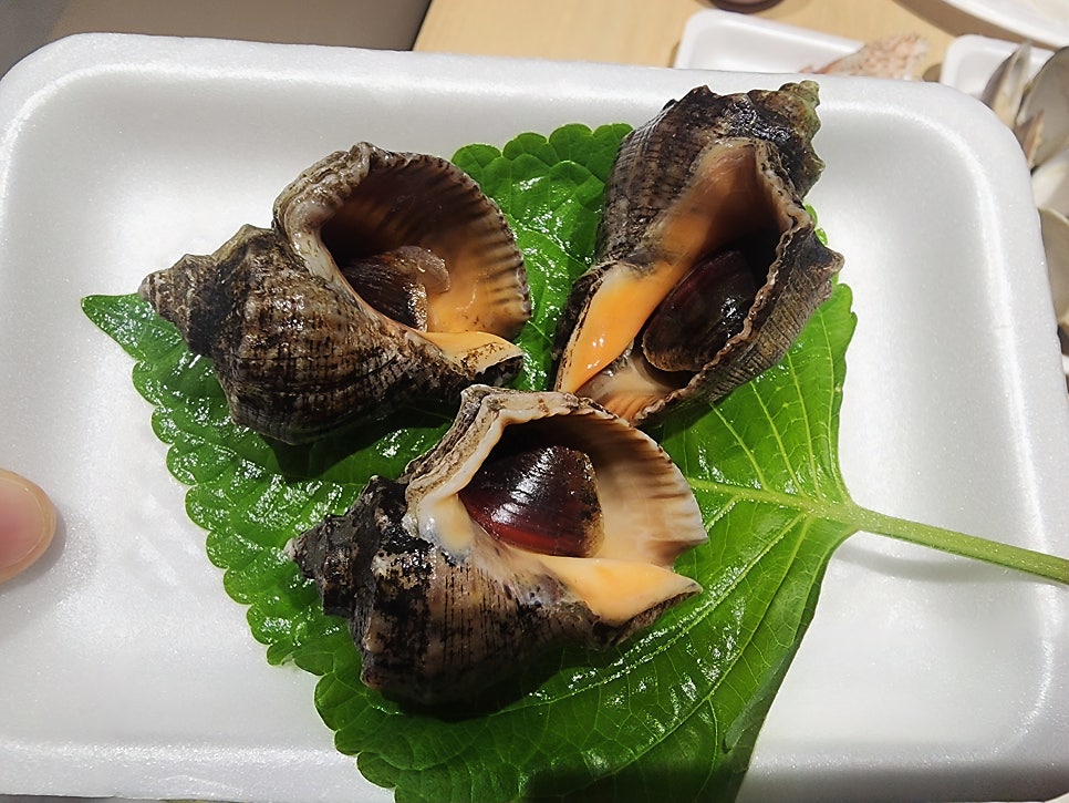 Namhaehwaleodomaesijang photo 4