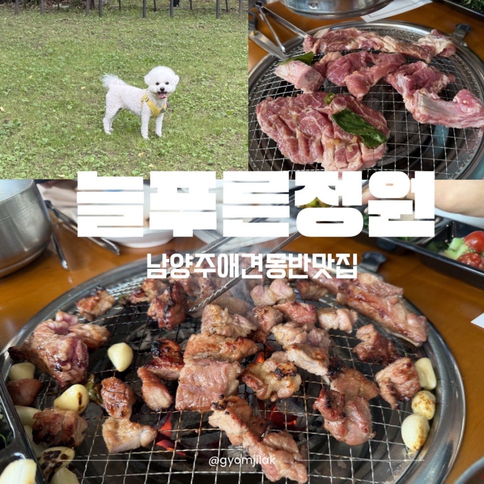 늘푸른정원 사진 1