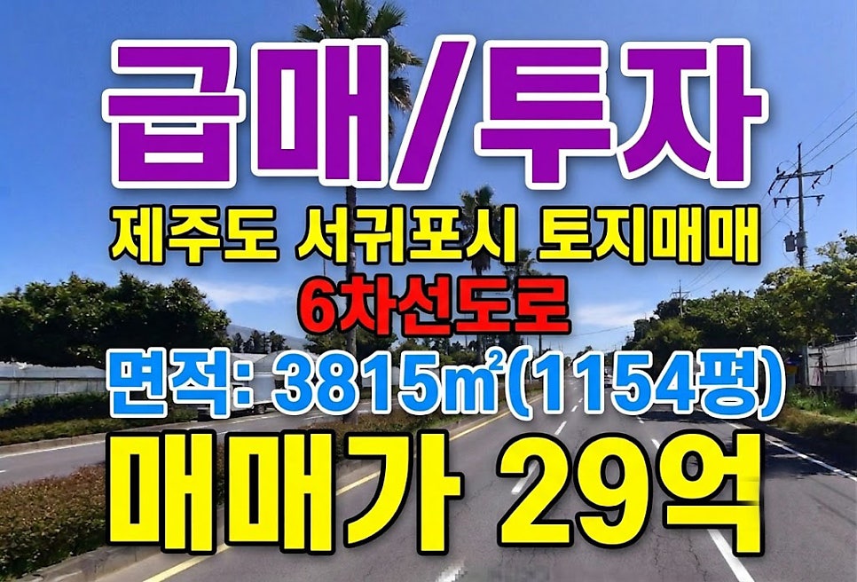 보름이 사진 1