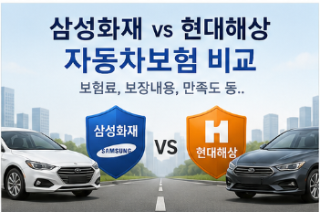 삼성화재 vs 현대해상 자동차보험 비교, 보험료·보장내용·만족도 총정리