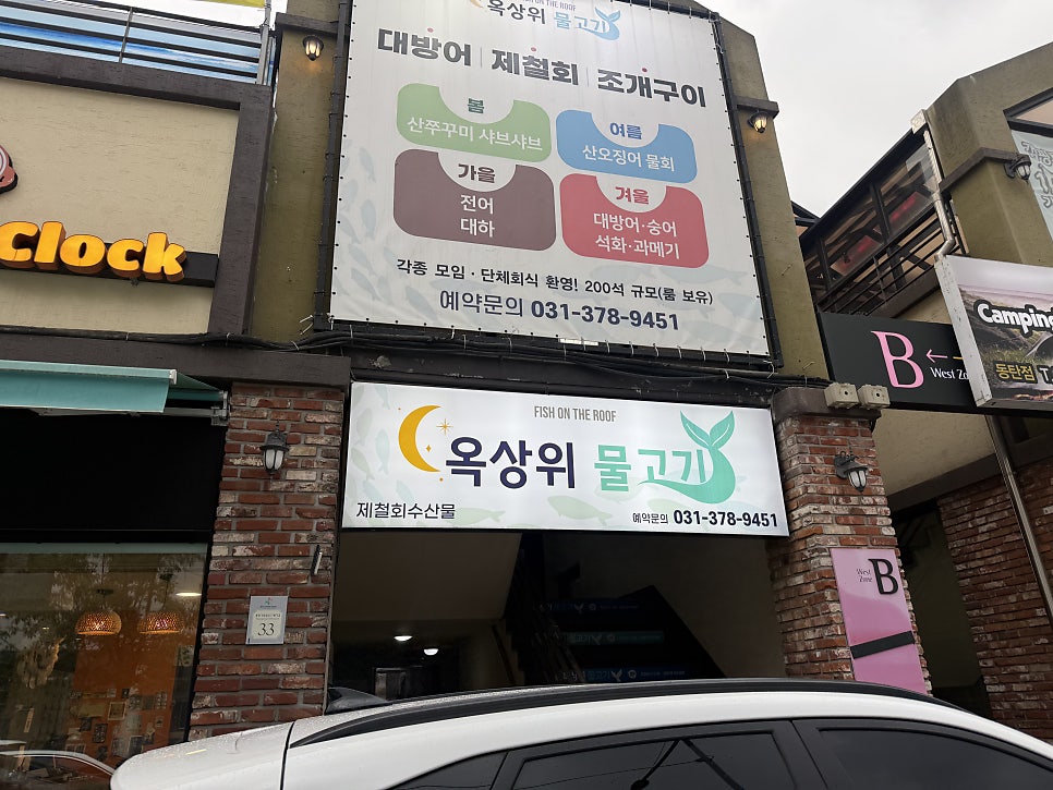 옥상위물고기 사진 1