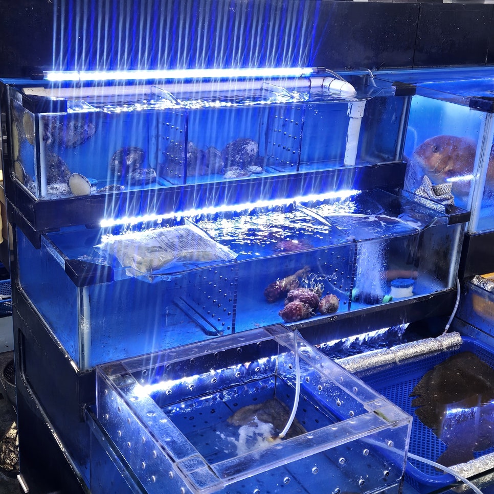보람이네 사진 6