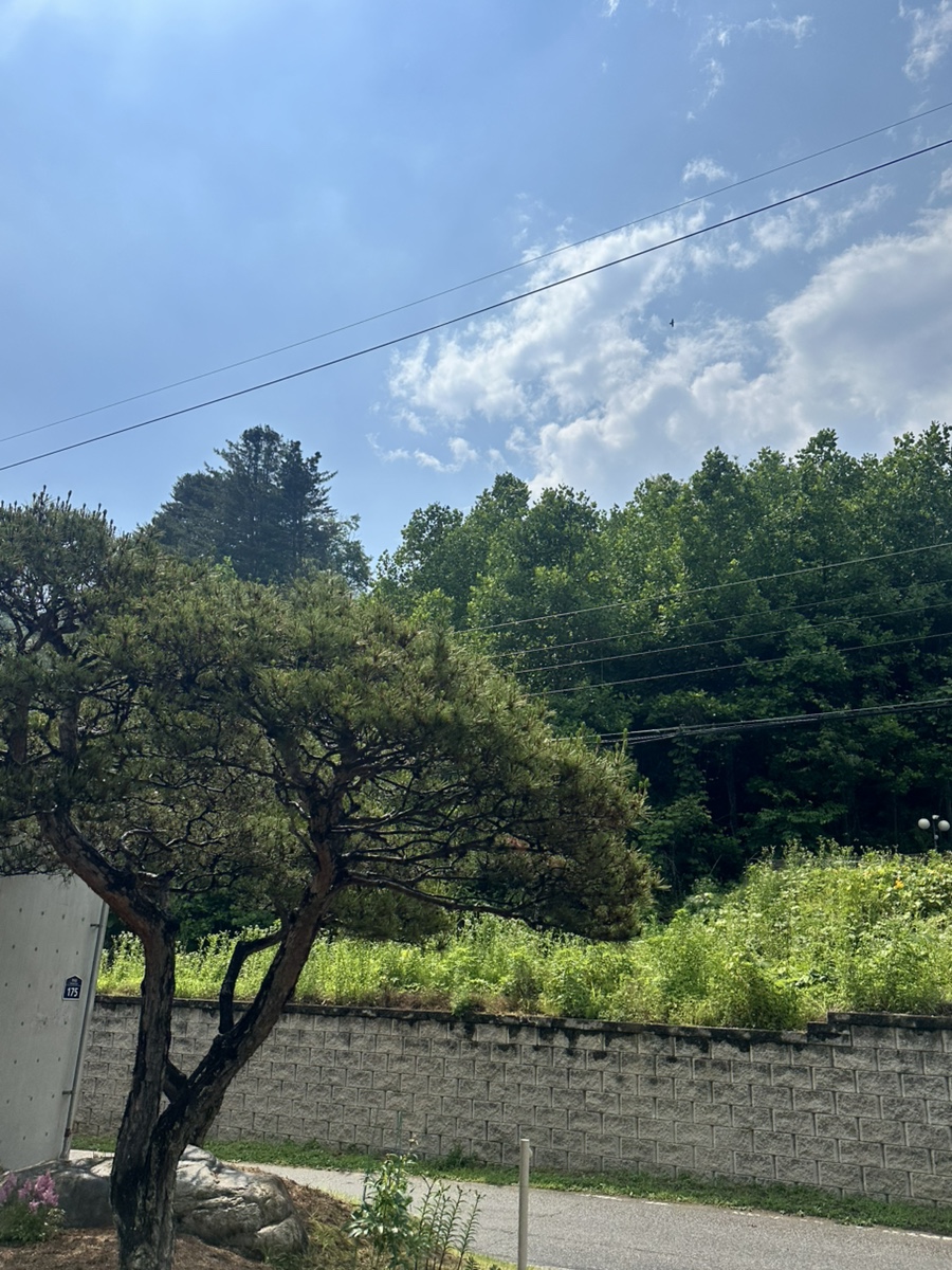 다가섬펜션 사진 3