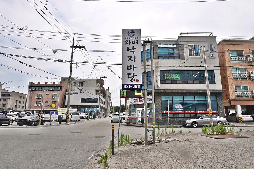 홍성자매낙지마당 사진 2