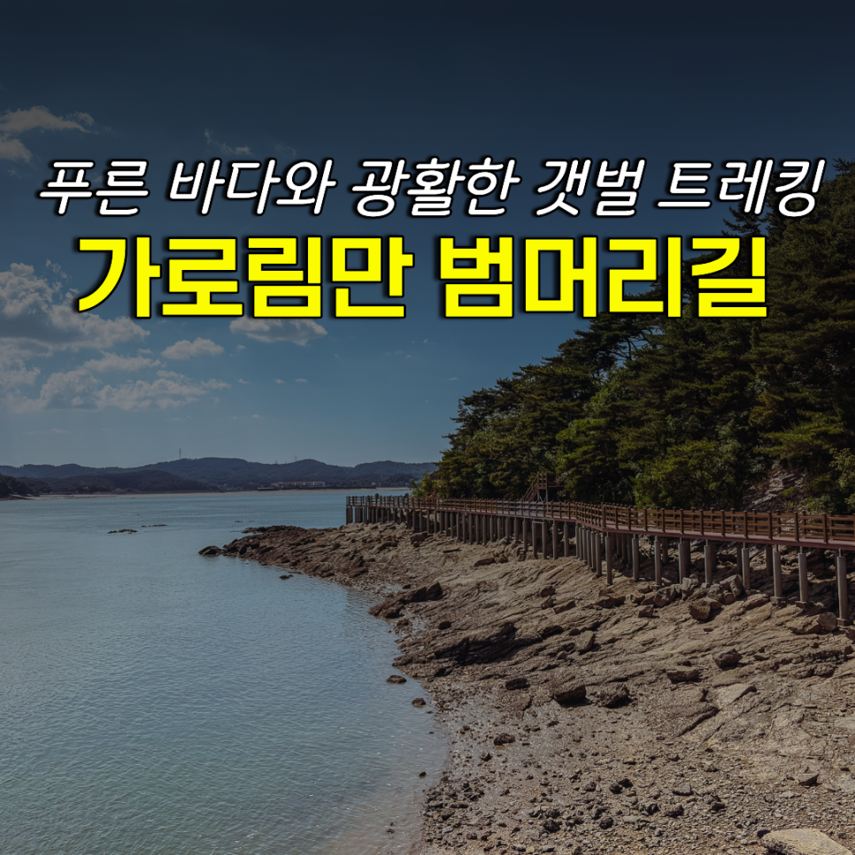 범머리 사진 2