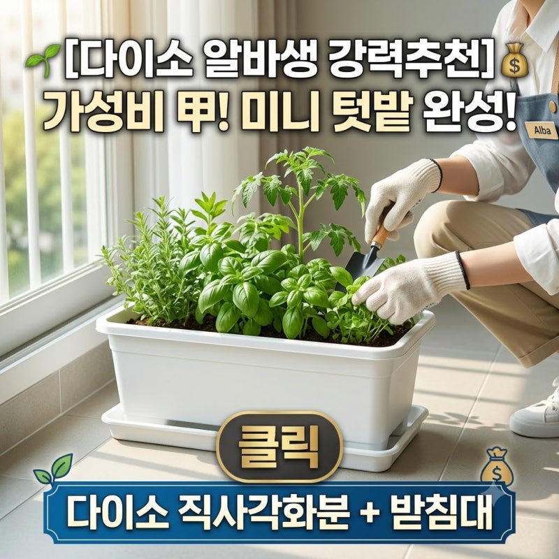 [다이소 알바생 직접확인] 다이소 직사각화분 판매할까? (플라스틱 화분받침대)