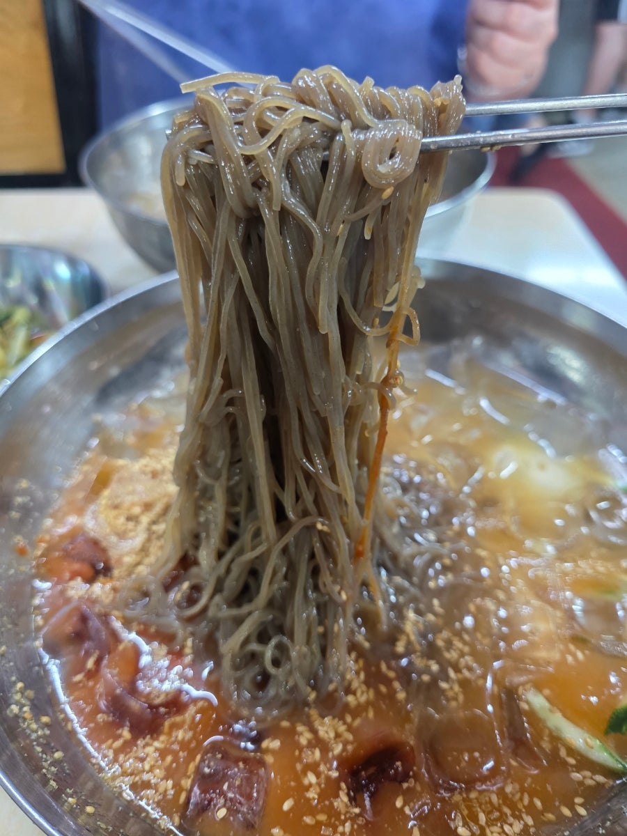 원조할머니냉면 사진 6