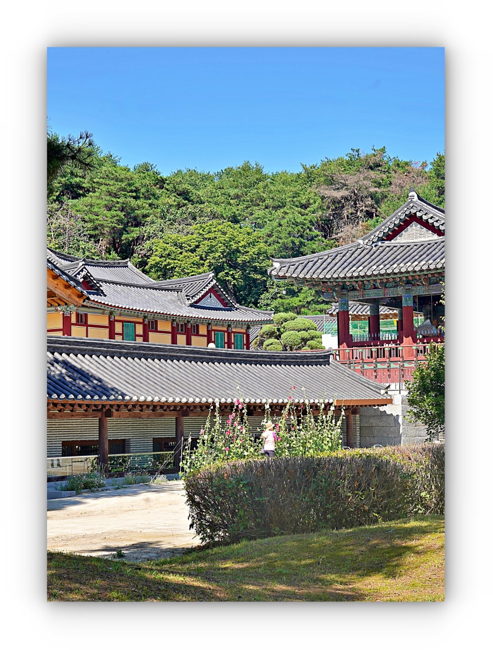 봉미산 사진 1