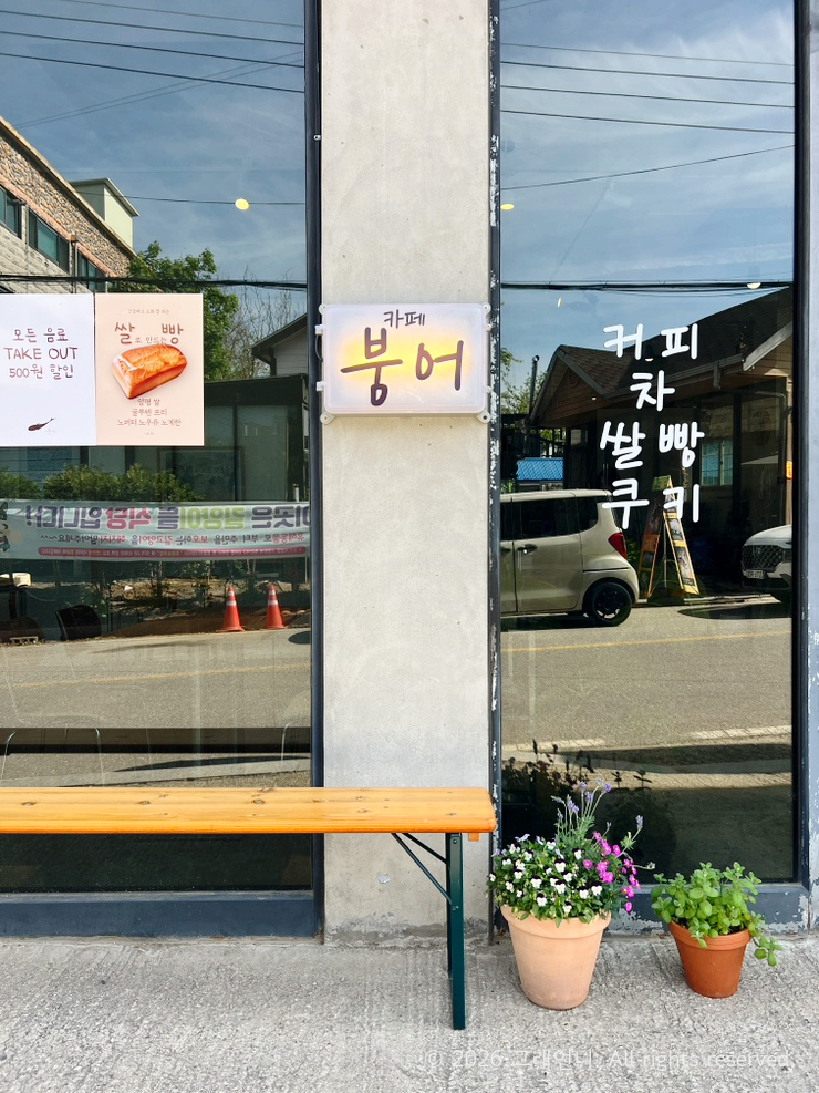 카페붕어 사진 1