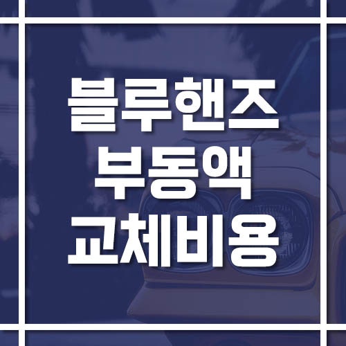 현대 블루핸즈 부동액(냉각수) 교체 비용과 공임 가격, 드레인과 순환식 차이까지!