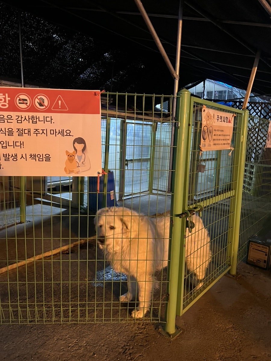 여기풍천민물장어 사진 5