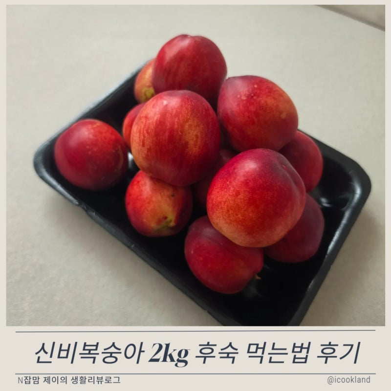 신비복숭아 2kg 보관법 후숙 해야하나? 맛있게 먹는법