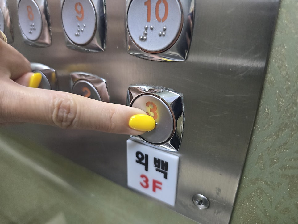 외백 사진 5