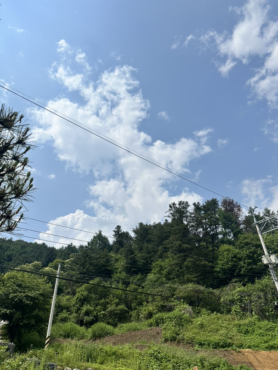 다가섬펜션 사진 5
