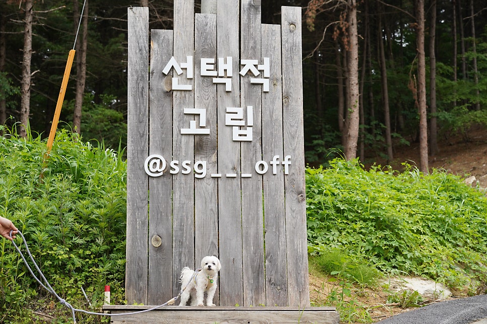 그라운드 휴 사진 3