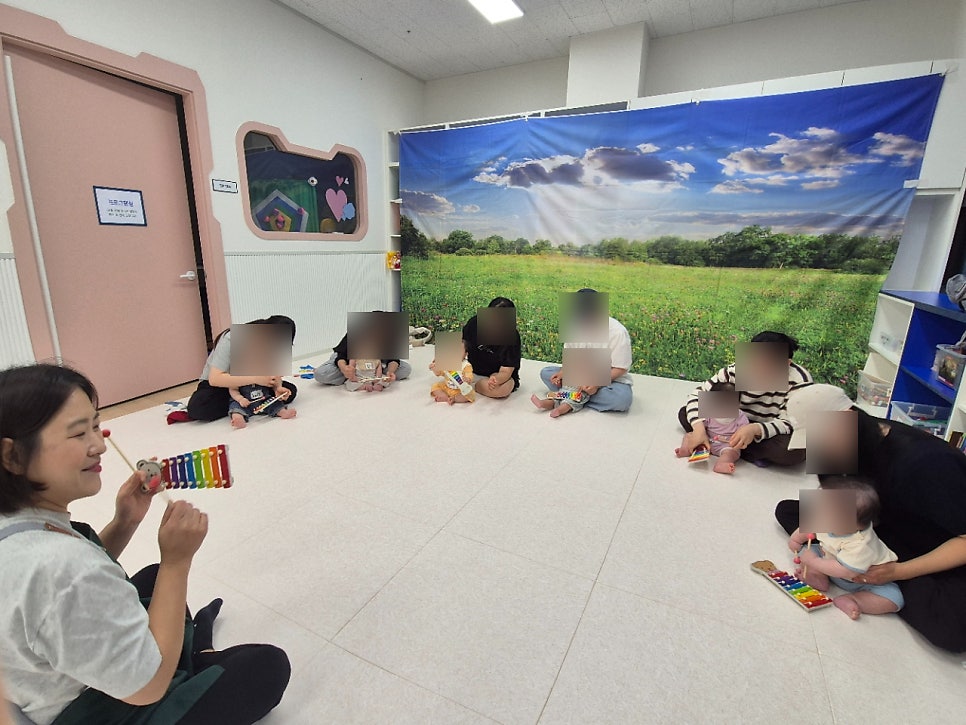 양떼 사진 4